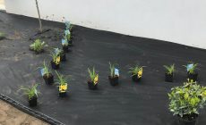 IMG_0002_Easy-Resize.com