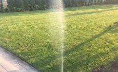 IMG_0124
