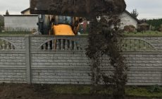 IMG_3739