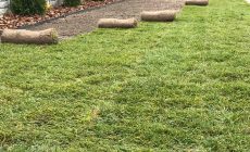 IMG_3779