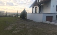 IMG_9285